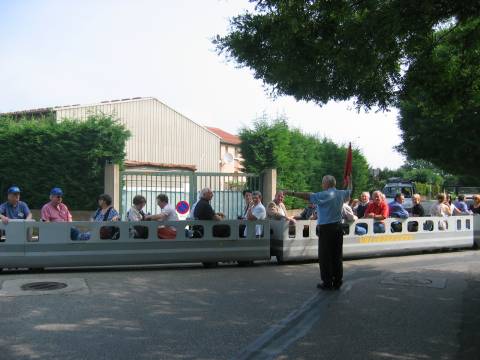 IMG 4539